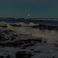sunet original