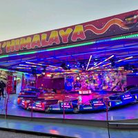 davidcalliauichtertz