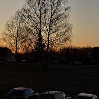 motoryzacja__0