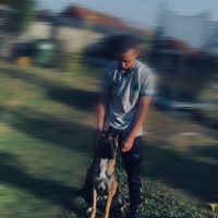son original