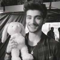 ellsstomlinson