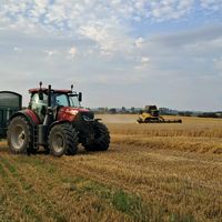 chamilton8662