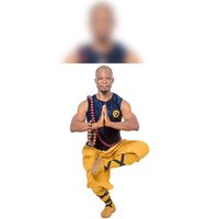 maitre.shaolin229