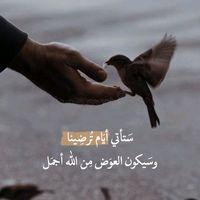 hamza_sbz7