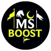 msboost_804
