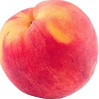 peachlover75