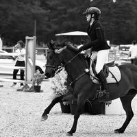 capucine_jumping