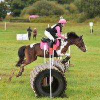 jesshelson_eqq