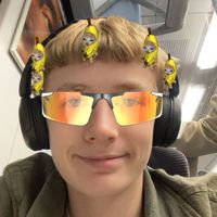 gr1ffo08