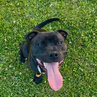 valter.staffy