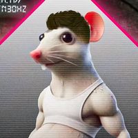 wizyfn30hzbaneado