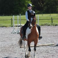 eq_grettelk