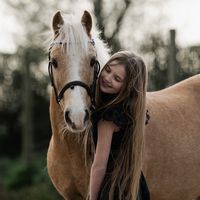 greenhillequestrian