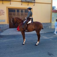 alvaroborrero6