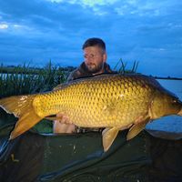 hcsabafishing