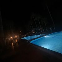 twlkr11