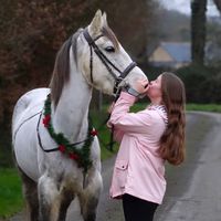briana.horse