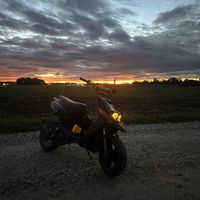 tejko.bws
