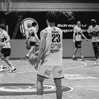 23doguss
