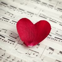original sound - Wedding String Quartet