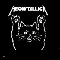 rockcat1967