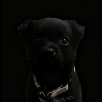 ooczkami_maggie