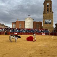 sonido original