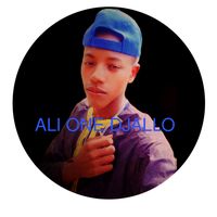 ali.diallo9423