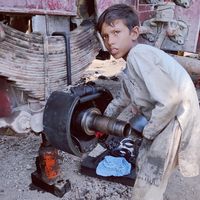 new.expert.mechanic