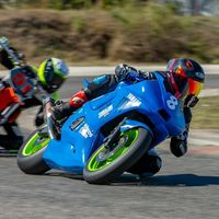kriszr1