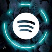 bestsongspotifyfr