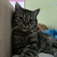 sammycathauptacc