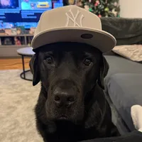 original sound - rsbestfinds