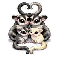 sugar_gliders_slo