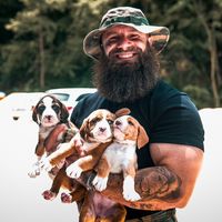 thegodfatherofdogs