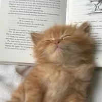 original sound - myvx_cxtz