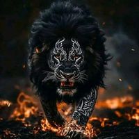 dz..n.....r