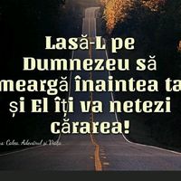 ianisandrei943