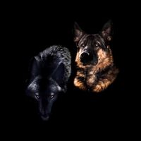 enhora_sirius_rydstorm