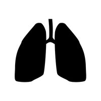 lungflexer