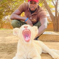 ibrahima.thiaw8816