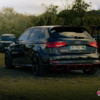 audis3_974