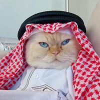 الصوت الأصلي