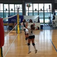 asiatalini6