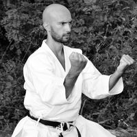 tsunamikarate.lapaglia