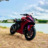 dragonflypink1