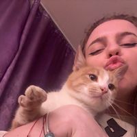 meli.mel121