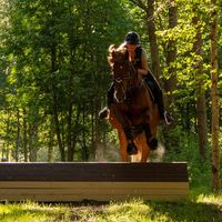 alkuperäinen ääni