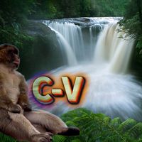 condena_viril