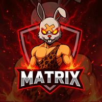 matrix_tlm2